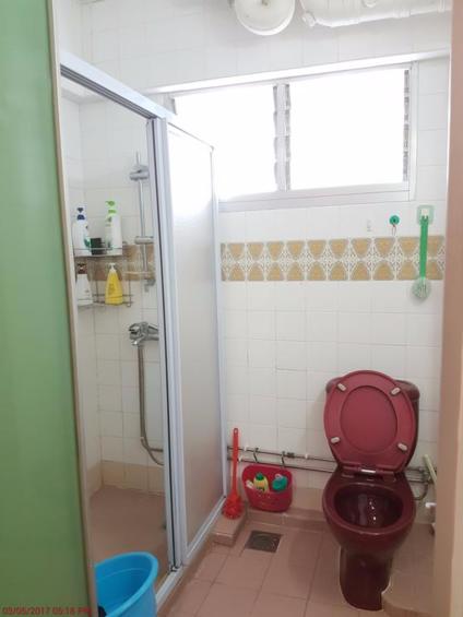 Blk 496C Tampines Street 43 (Tampines), HDB 5 Rooms #143673502